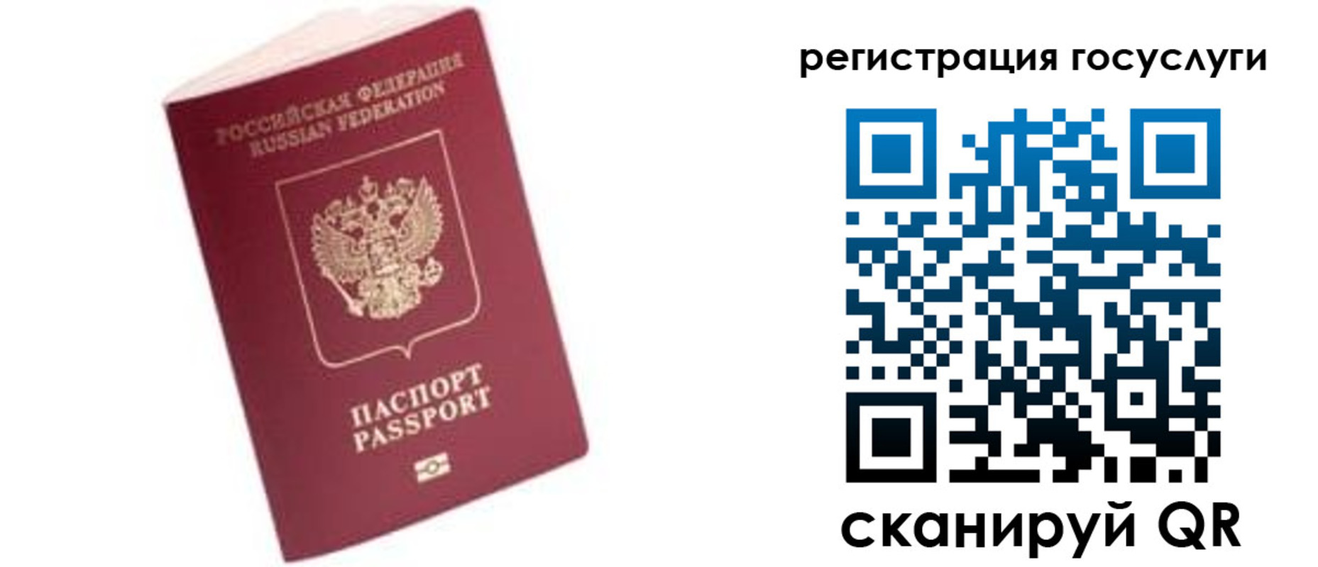 прописка поиск в Славгороде